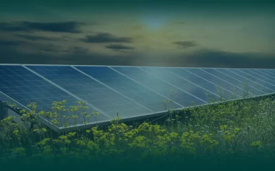 Britain’s Solar Power Soars to New Heights Amid Record-Breaking Sunshine