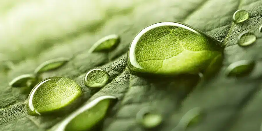 Bloom Renewables Solar Innovations