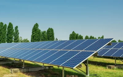 Bloom Renewables Hits the Road: Community Energy Events Across Devon