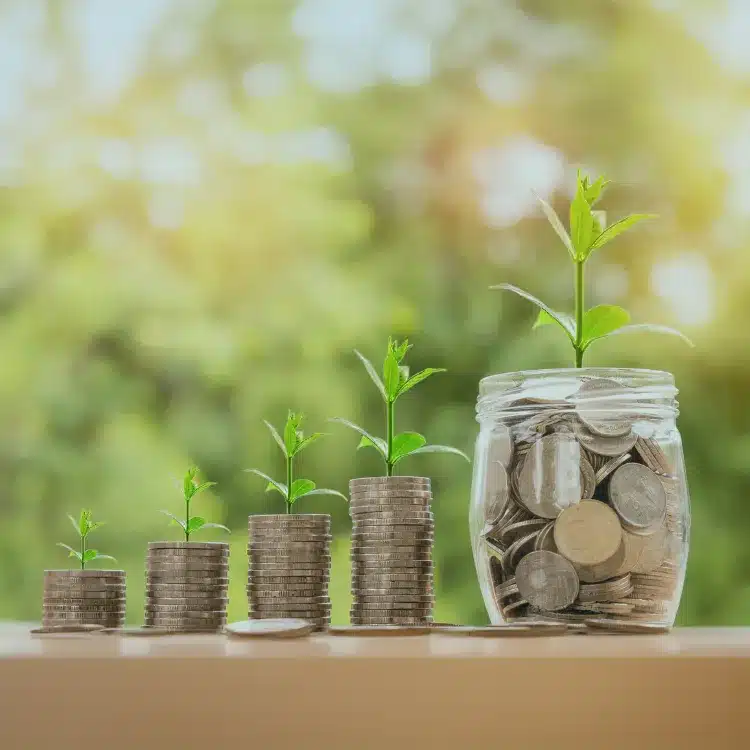 Solar Panel Finance Grants