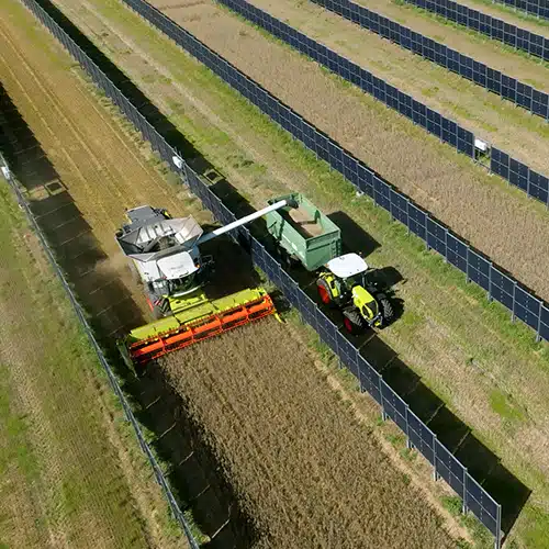 Next2Sun Agri PV Solar Farm Arable
