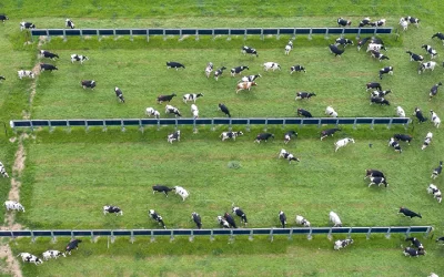 Bloom Renewables Champions World Nature Conservation Day 2025